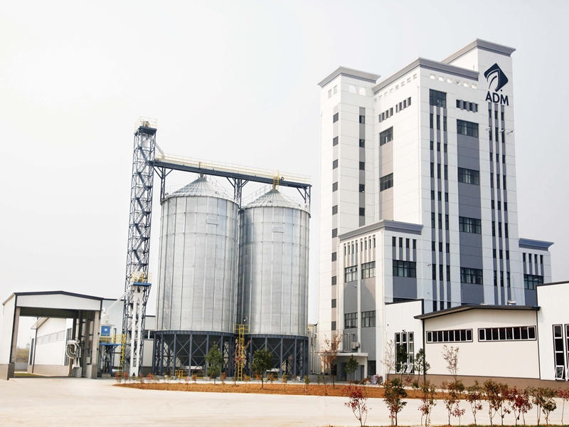 Poultry Feed Production Line In Algeria