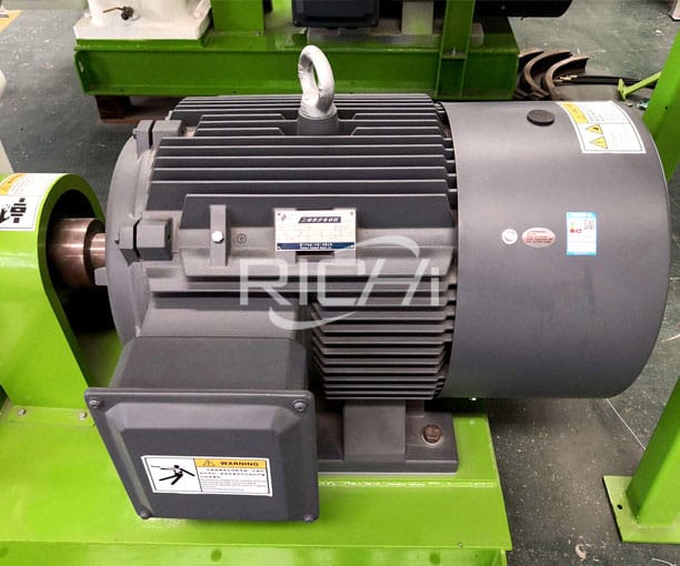 Siemens motor and SKF bearing
